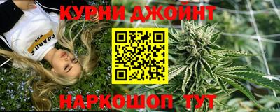 крисы Вязьма