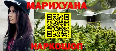 крисы Вязьма