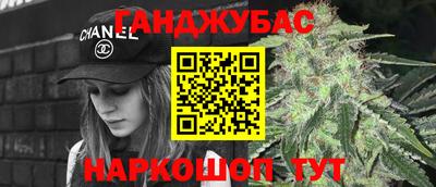крисы Вязьма