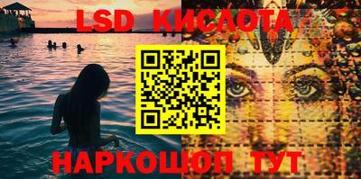 крисы Вязьма
