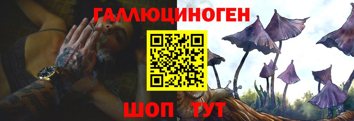 Псилоцибиновые грибы Psilocybe  Вход с VPN  Ковров 